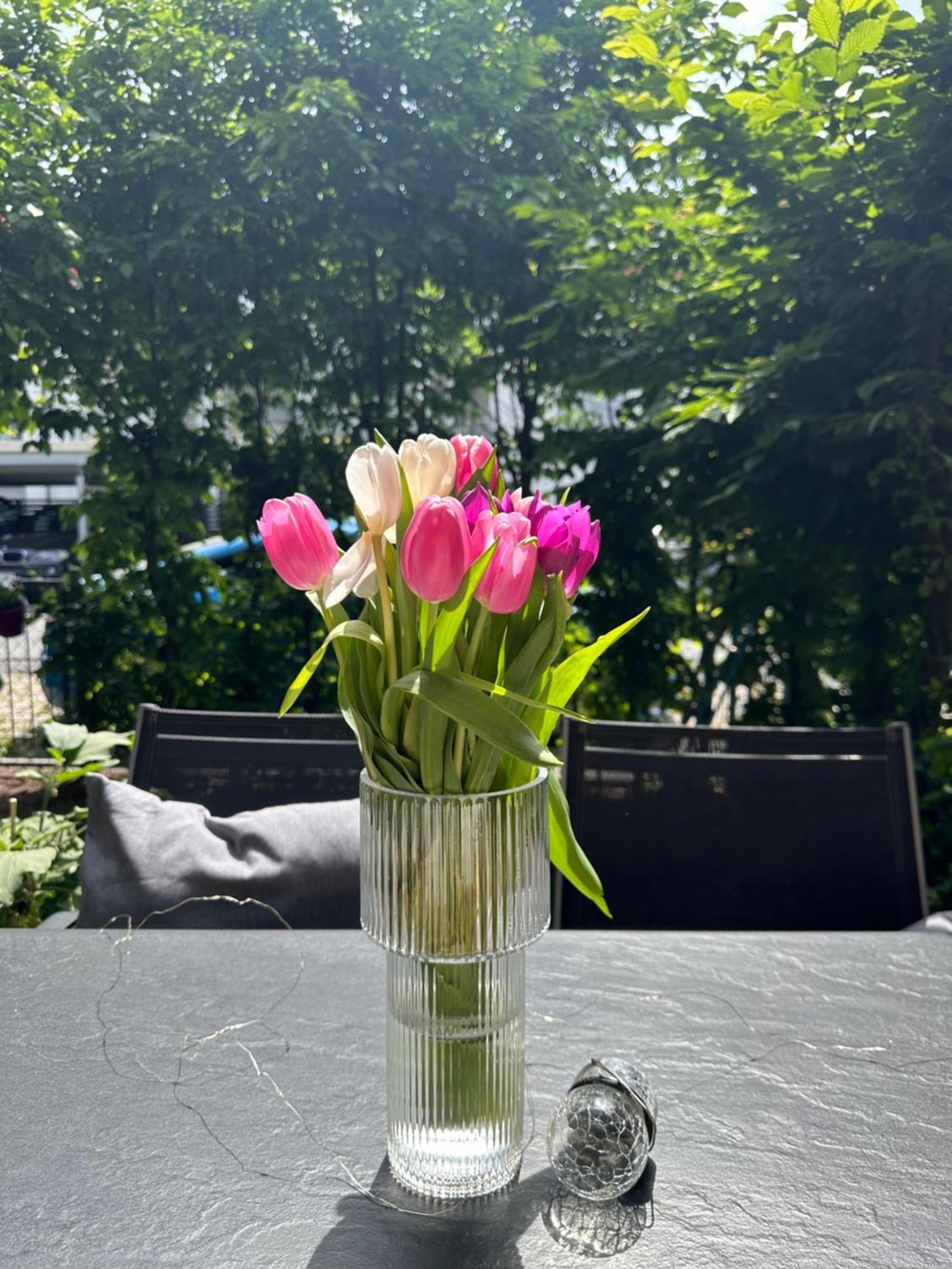 Luxus I Wohnkueche I Garten I Terrasse I Parkplatz Fuerth Exterior photo